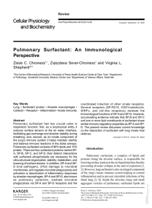 Pulmonary Surfactant: An Immunological Perspective