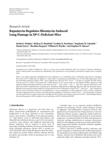 Rapamycin Regulates Bleomycin-Induced Lung Damage in SP