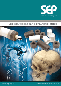voicebox: the physics and evolution of speech