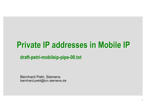 Private IP addresses in Mobile IP