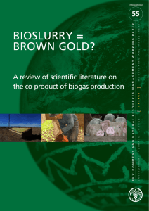 Bioslurry = Brown Gold - Food and Agriculture Organization of the