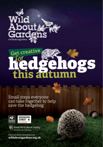 Downloadable Booklet - Wild about gardens week