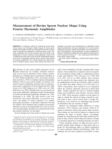 Measurement of Bovine Sperm Nuclear Shape Using Fourier