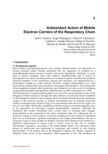 Antioxidant Action of Mobile Electron Carriers of the Respiratory Chain