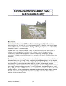 Constructed Wetlands Basin (CWB