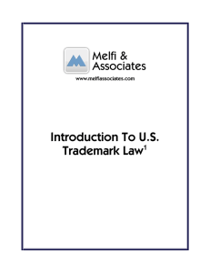 Introduction To US Trademark Law