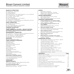 12 Annual Report - Binani Industries