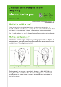 Information for you - Royal College of Obstetricians and
