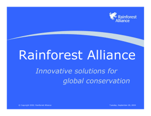 Rainforest Alliance