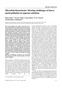 Microbial biosorbents: Meeting challenges of heavy metal pollution