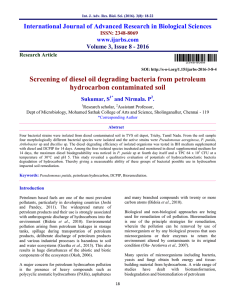 Screening of diesel oil degrading bacteria from petroleum