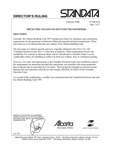 director`s ruling - Alberta Municipal Affairs