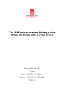 The cAMP response element binding protein (CREB) and its