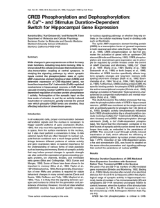 CREB Phosphorylation and Dephosphorylation