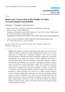 Biodiversity Conservation in Rice Paddies in China: Toward