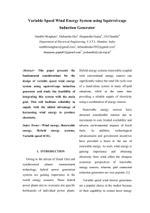 Variable Speed Wind Energy System using Squirrel