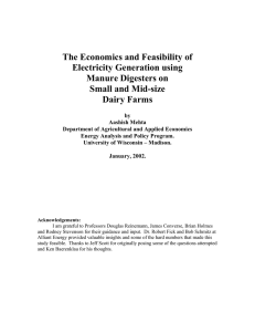 The Economics and Feasibility of Electricity Generation using