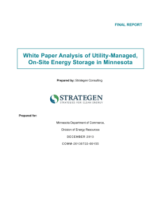 View White Paper  - Energy Storage Association