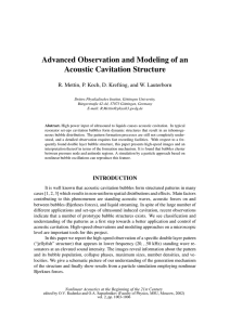 R. Mettin et al, Advanced Observation and Modeling of an Acoustic