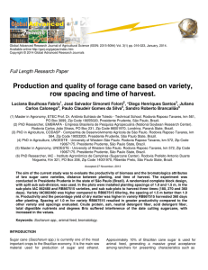 Production and quality of forage cane based on variety, row