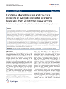 Functional characterization and structural modeling of