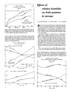 Effects of relative humidity on Irish potatoes in storage