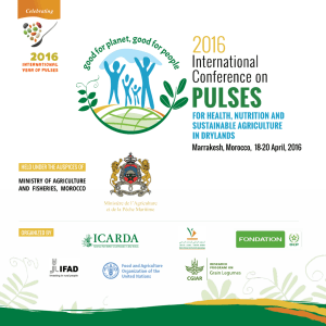 Conference on Pulses