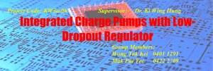 Integrated Charge Pumps with Low