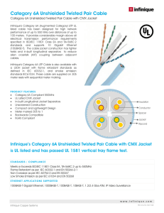 Category 6A Unshielded Twisted Pair Cable