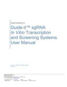 Guide-it sgRNA In Vitro Transcription and Screening