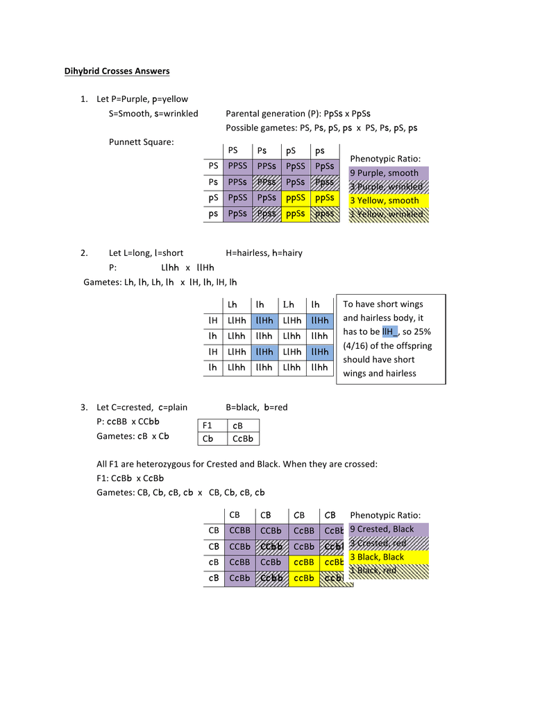 Dihybrid Crosses Answers 1 Let P Purple P Yellow S