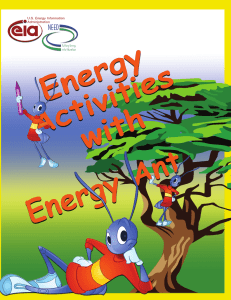Energy Activity Book