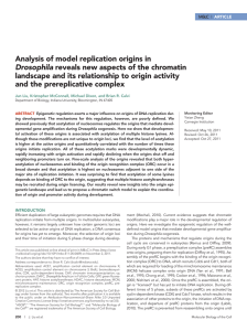 Analysis of model replication origins in Drosophila reveals new