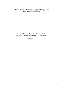 ENP AP H1 2011 Progress Report