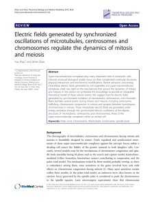 Electric fields generated by synchronized oscillations of