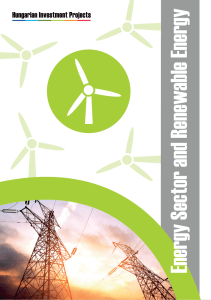 Energy Sector and Renewable Energy