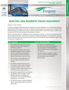 electric and magnetic fields assessment