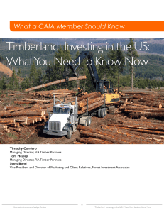 Timberland Investing in the US: What You Need to Know Now