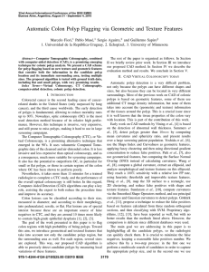 Automatic Colon Polyp Flagging Via Geometric and Texture Features