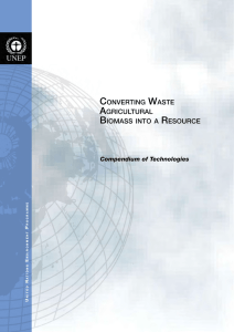 Converting Waste Agricultural Biomass into a Resource