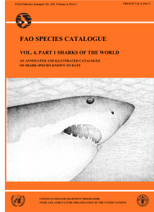 FAO species catalogue. Vol.4. Sharks of the world. An annotated