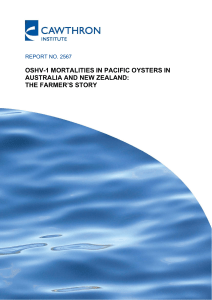 oshv-1 mortalities in pacific oysters in australia and new zealand