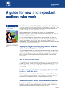 indg373 - A guide for new and expectant mothers who work