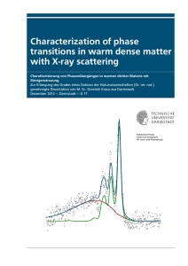 Characterization of phase transitions in warm dense matter