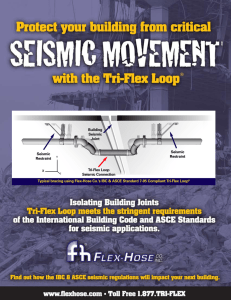 Typical bracing using Flex-Hose Co.`s IBC - Flex