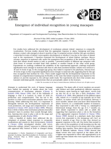 Emergence of individual recognition in young macaques