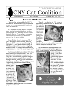 Cny cat Coalition