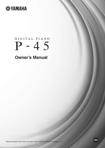 P-45 Owner`s Manual