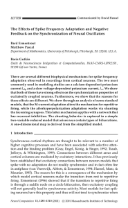 The Effects of Spike Frequency Adaptation and Negative Feedback