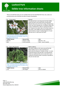 Loxofrd Park Edible Tree Information Sheets